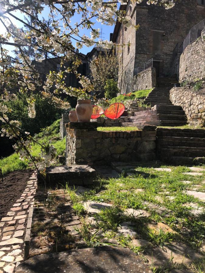 Lemon Tree Boutique Guest House Todi Extérieur photo