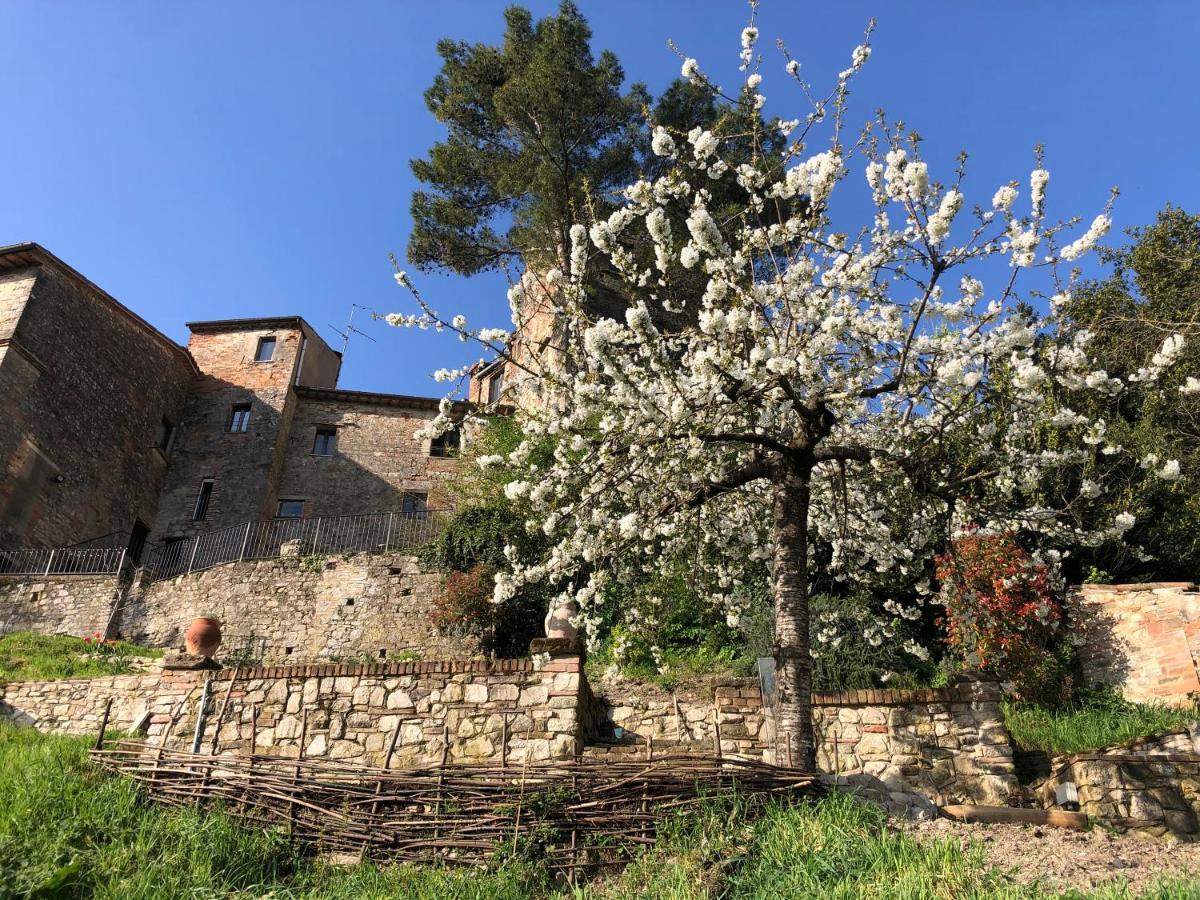 Lemon Tree Boutique Guest House Todi Extérieur photo